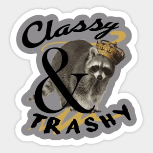 Classy & Trashy Racoon Sticker